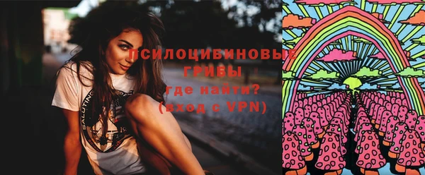 бошки Алзамай