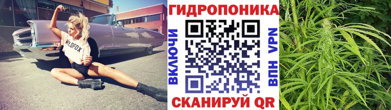 OMG tor  Туймазы  Каннабис OG Kush 